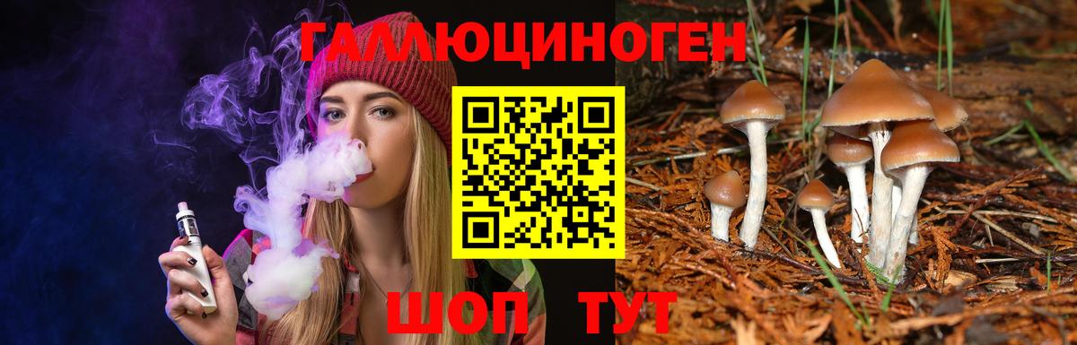 Галлюциногенные грибы Magic Shrooms Избербаш