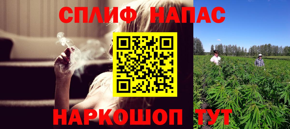 Бошки марихуана семена Избербаш